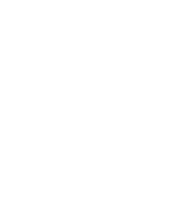AI Pinnacle